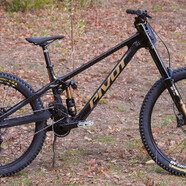 gold phoenix FB.jpeg?VersionId=6G8CNdQqILxvHXNvpblT0T3