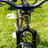 sea otter day1 2023 vitalmtb 0.jpg?VersionId=oKx82cn0 gFffvjO4pcUyFztZ2QR