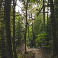 dsc1036-modifier