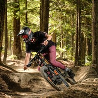 pexels-danny-bor-9994278