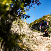 Tucson-Shirbach-91