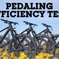 original pedalingEfficiencyA 493887