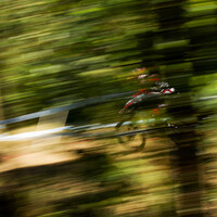 original slideshow photo 1331841314