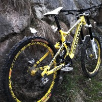 original supreme1.jpg?VersionId=qpHx6ViKVoTSJ QowpGVl