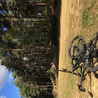 original 20181001 132152 IMG 0206