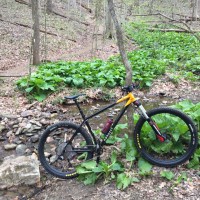 original Nordest in woods.jpg?VersionId=wxe zB4e7k4C2Bplxlwt3NBh3j