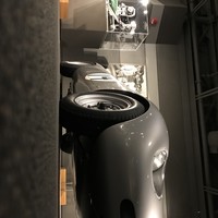 Profile picture for user stihlgoin