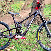 Spindrift 5 CF MX FB