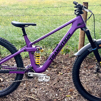 purple and yellow Sentinel V3 FB