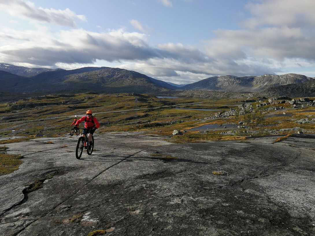 1000001133.jpg?VersionId=T cAqTwUggpJCTNbD2