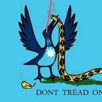 social auth facebook 10173120146210521