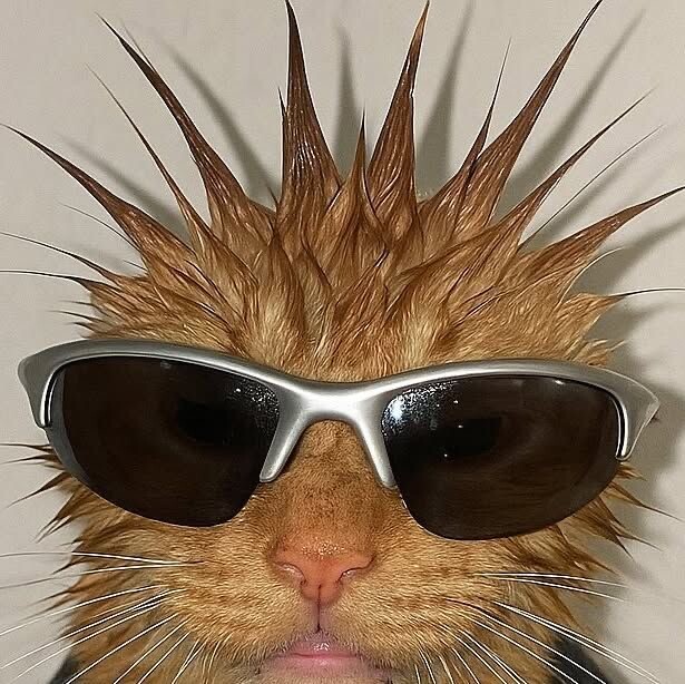 IMG 9889.jpeg?VersionId=UH