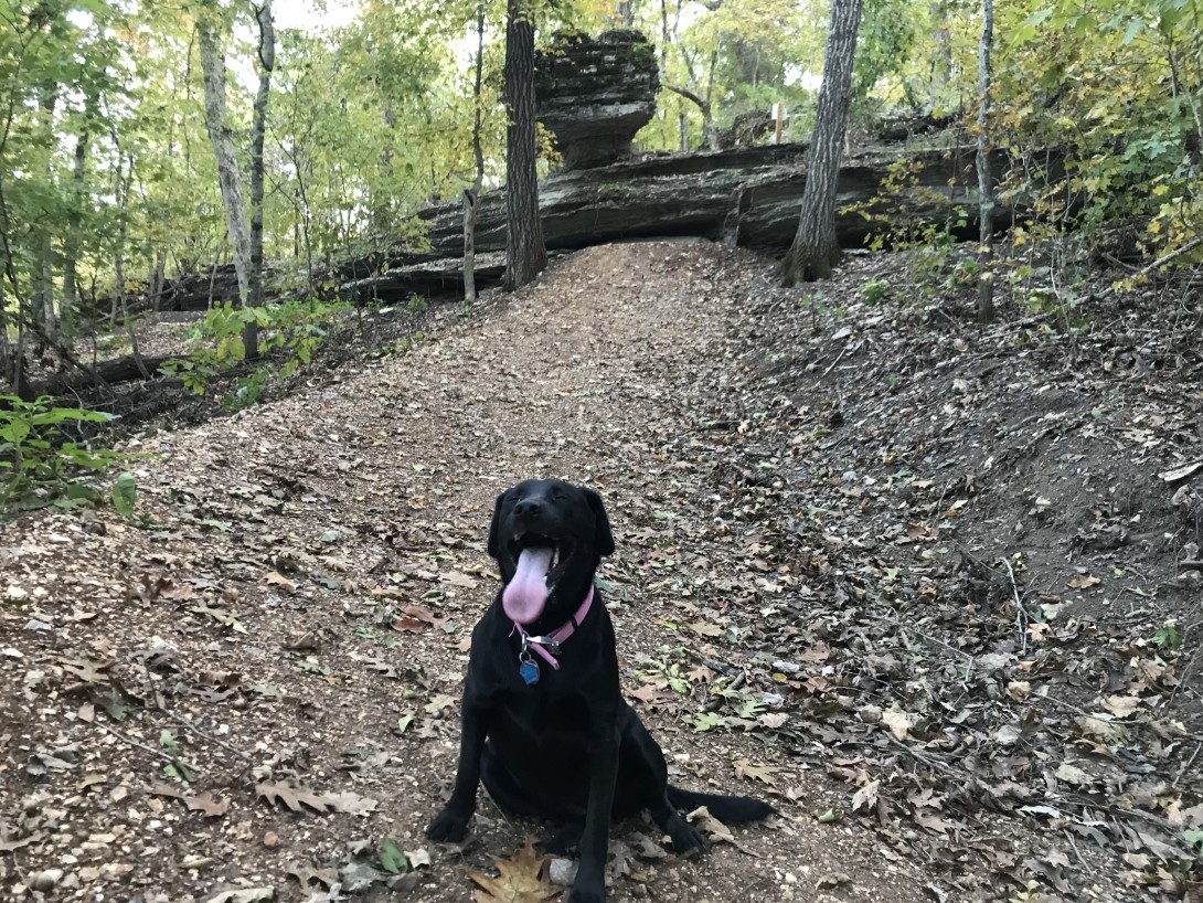 original Ella 1615387849