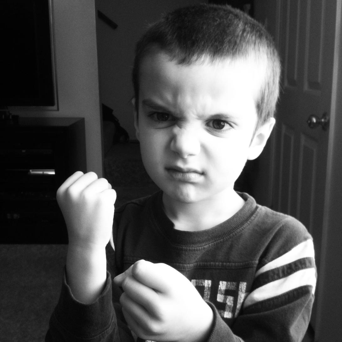 original 9CF0B24C 1E2D 4C22 B343 C5979ACB4234 1614266548