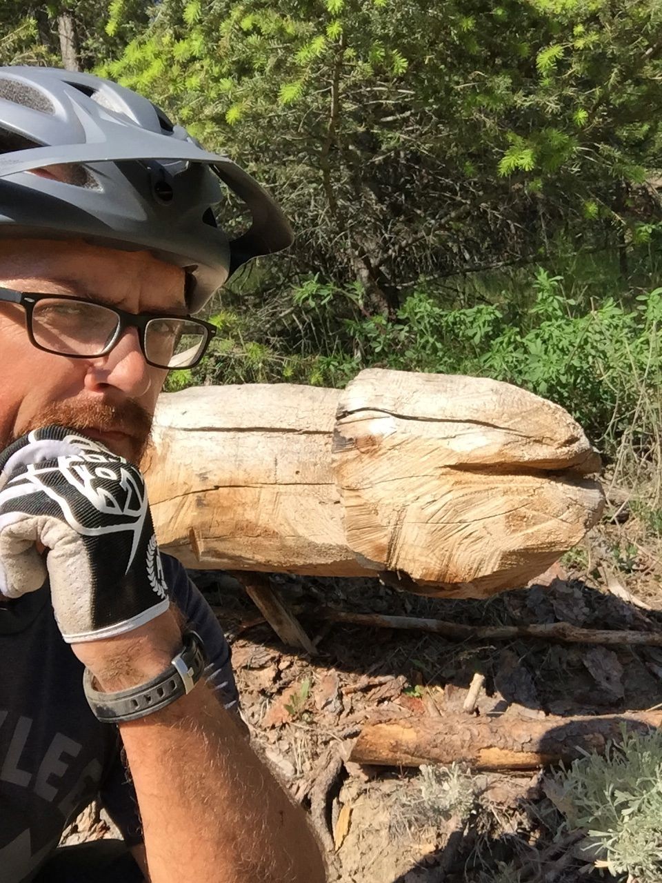 Profile picture for user Faction