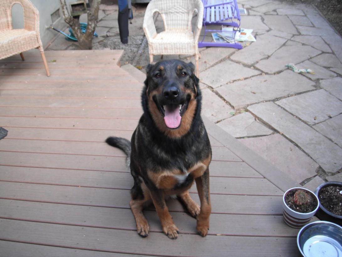 Profile picture for user lsbl