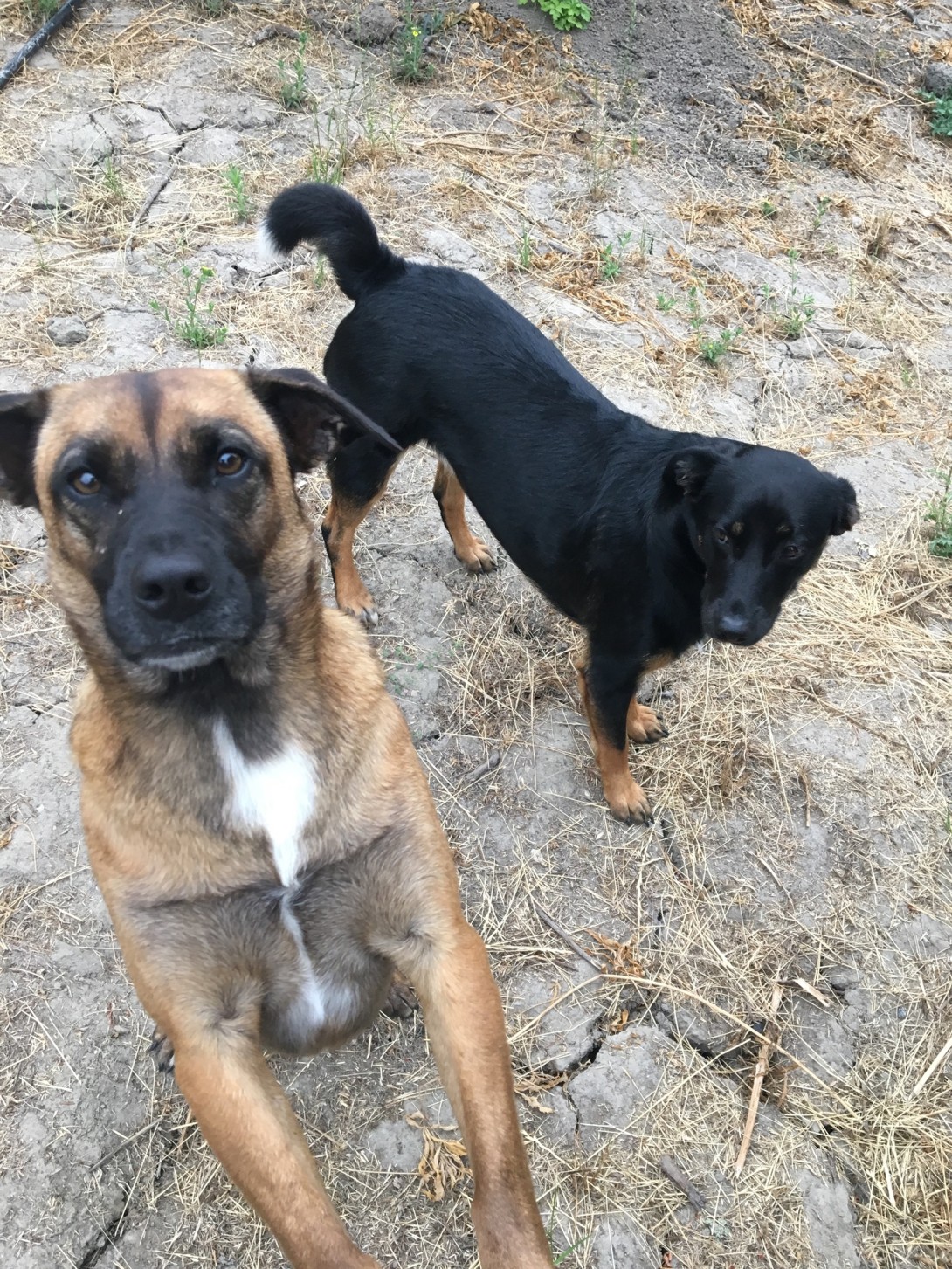 original D1C6B506 37D0 496F BA76 30EB70287B5C 1539714908