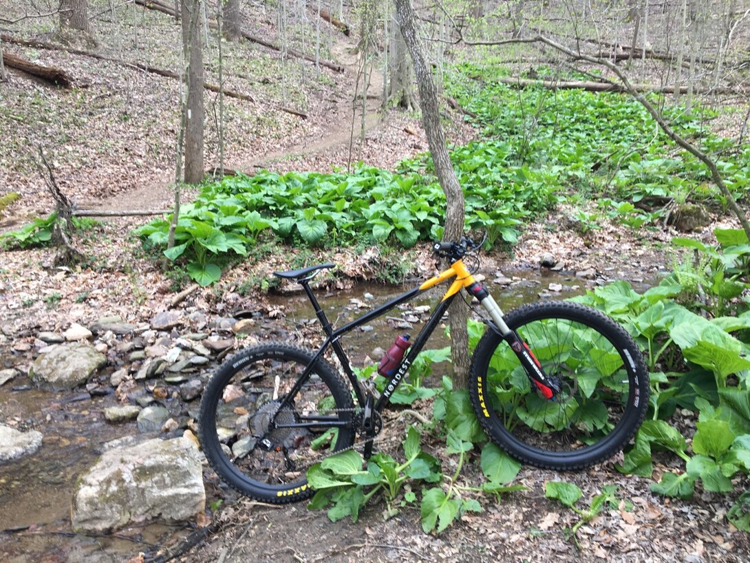 original Nordest in woods