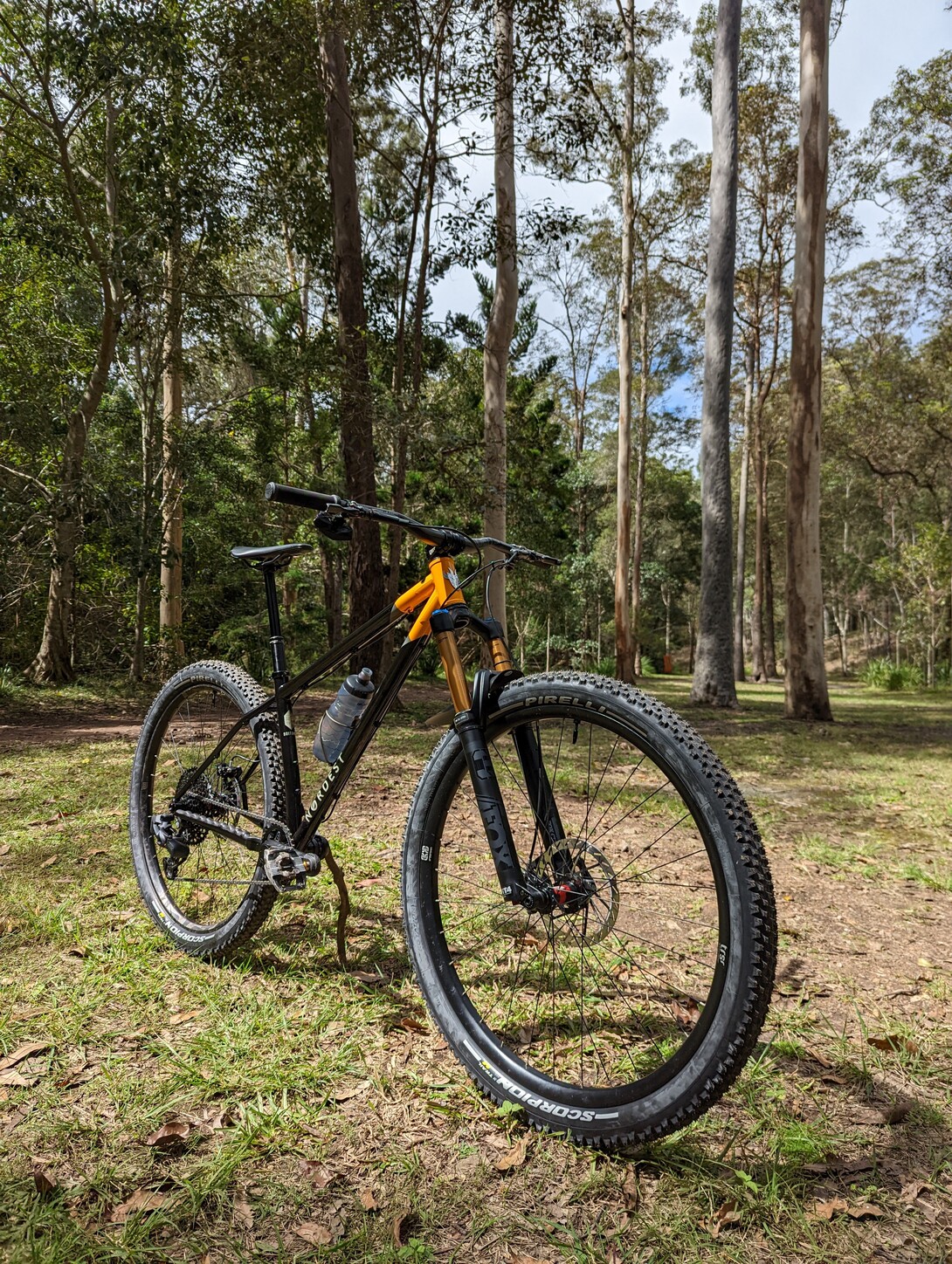 original PXL 20220904 012638235