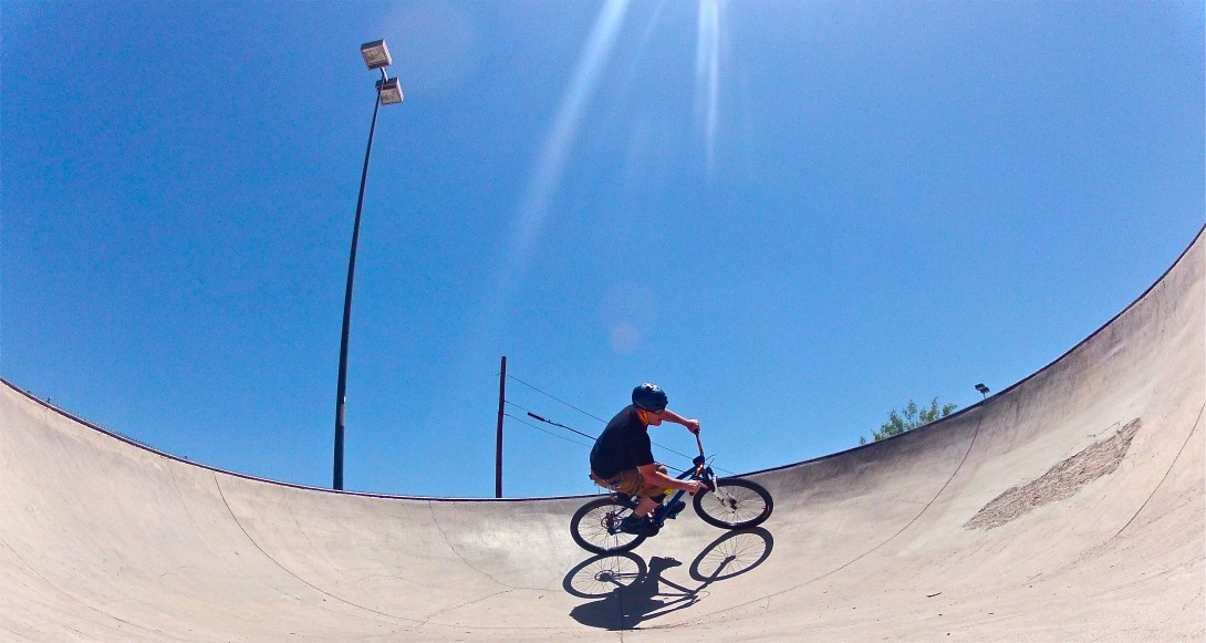 Profile picture for user WingNutt