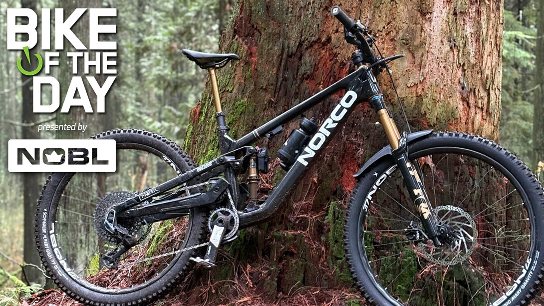 Minnaar Sight Carbon FB