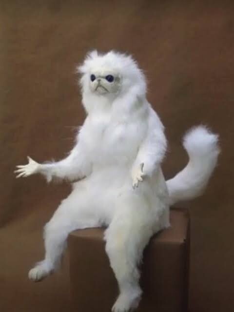 Profile picture for user Queenstown.NPC