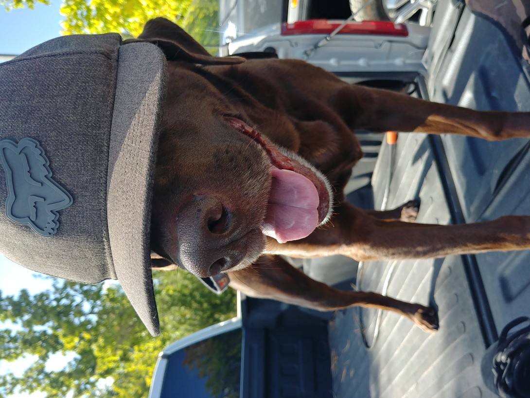 0913211552a HDR.jpg?VersionId=KIKcbIkTu4E5uN6a0L